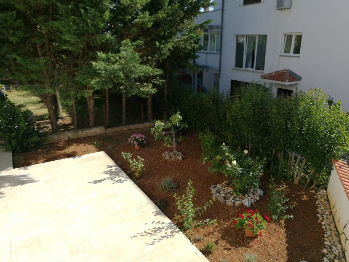 Ferienhaus Bozena Appartment 4 Vrsar Eksteriør billede